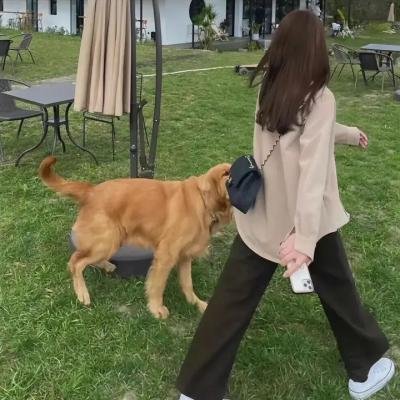美味倒数